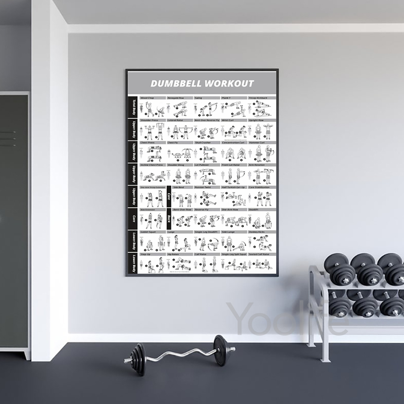 Workout Exercise Chart Posters - Sports Equipment Poster recension och pris